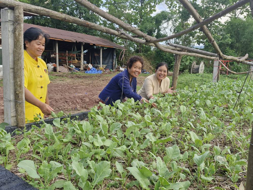 ?สำนักงานพัฒนาชุมชนอำเภอท่าลี่ จัดกิจกรรมเพาะพันธุ์พืช แบ่งปันพันธุกรรมพืชสู่ครัวเรือนรอบศูนย์เรียนรู้ฯ โคก หนอง นา นางไฉน เมืองซอง?