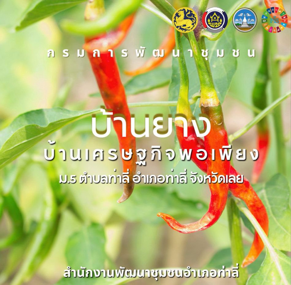 พช.ท่าลี่ & บ้านยาง ตำบลท่าลี่ กับการพัฒนาหมู่บ้านเศรษฐกิจพอเพียงสู่ความยั่งยืน (Sustainable Sufficiency Economy Village)