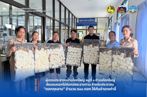 ผู้แทนประชาชนบ้านโคกใหญ่ ม.๑ ต.โคกใหญ่ รวมพลังส่งมอบดอกไม้จันทน์ ๕๐๐ ดอก ให้กับอำเภอท่าลี่